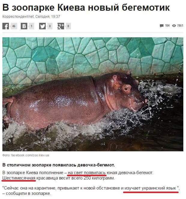 Смешные комментарии из социальных сетей (48 скриншотов) Смешные комментарии из социальных сетей (48 скриншотов)