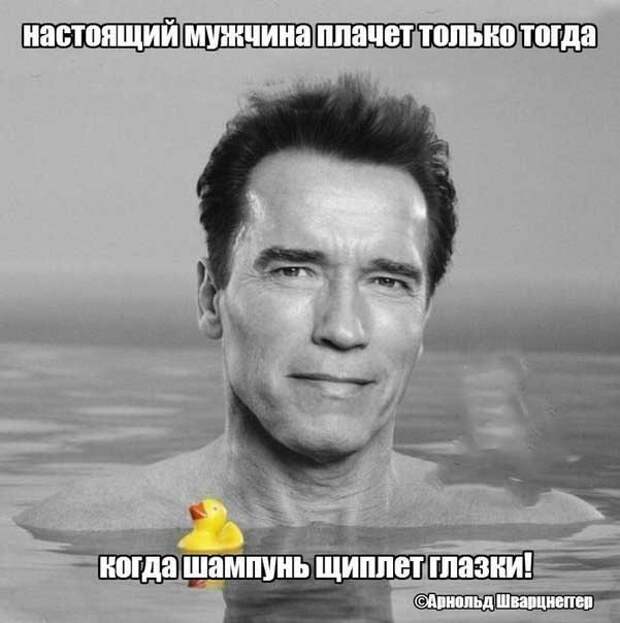 Забавные картинки с надписями со смыслом (12 фото) Забавные картинки с надписями со смыслом (12 фото)