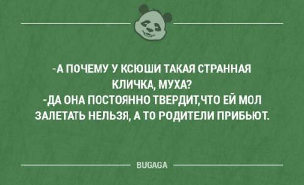 Смешные фразы и забавные мысли про девушек. Часть 37 (20 шт)