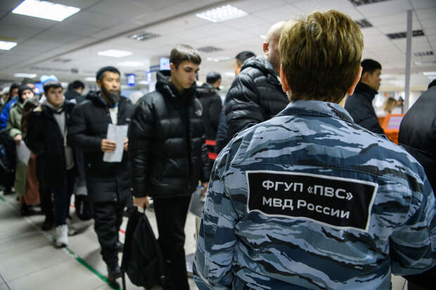 Володин: рост числа патентов говорит о выводе трудовой миграции из тени