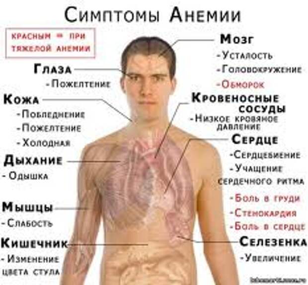 Лечение анемии