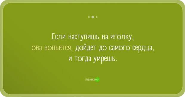 Забавные заблуждения прикол, юмор