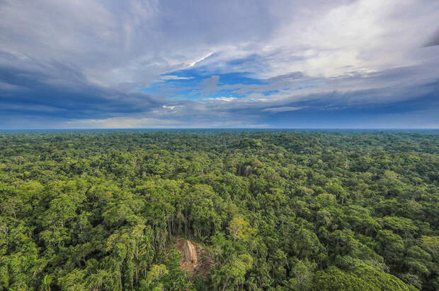 uncontacted-tribe-amazon-photography-ricardo-stuckert-2
