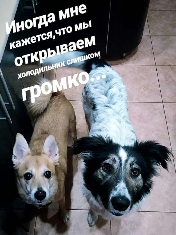 www.vsyako.net