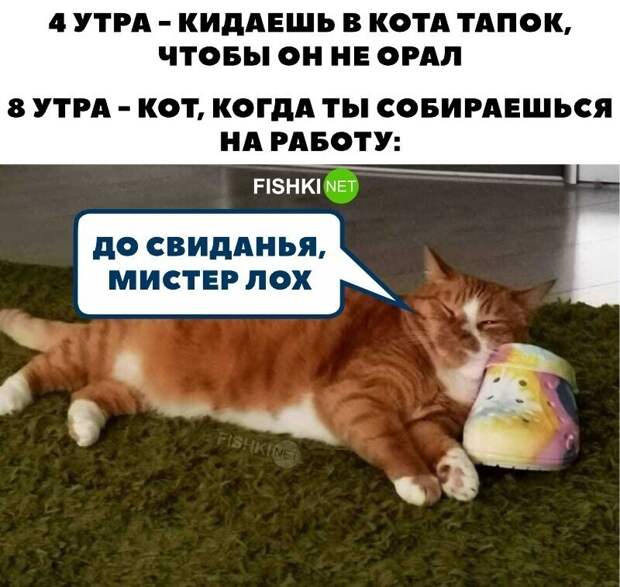 Ему ещё весь день спать... ^_^ Ему ещё весь день спать... ^_^