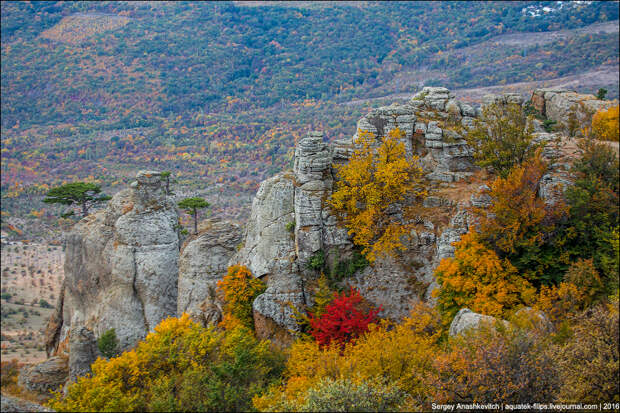 Осень в Крыму Осень в Крыму