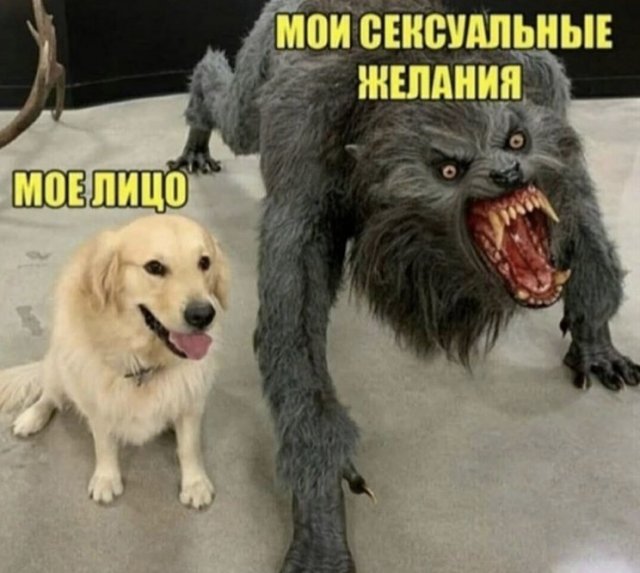 шутка про отношения