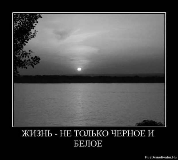 Прикольные демотиваторы с надписями. Подборка chert-poberi-dem-chert-poberi-dem-56130625062020-7 картинка chert-poberi-dem-56130625062020-7