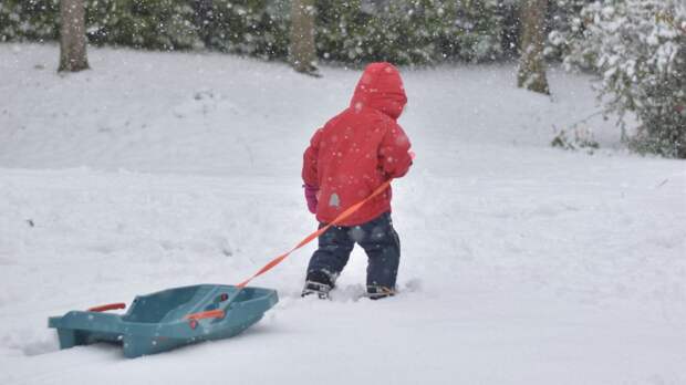 Любимые зимние игры родом из СССР
