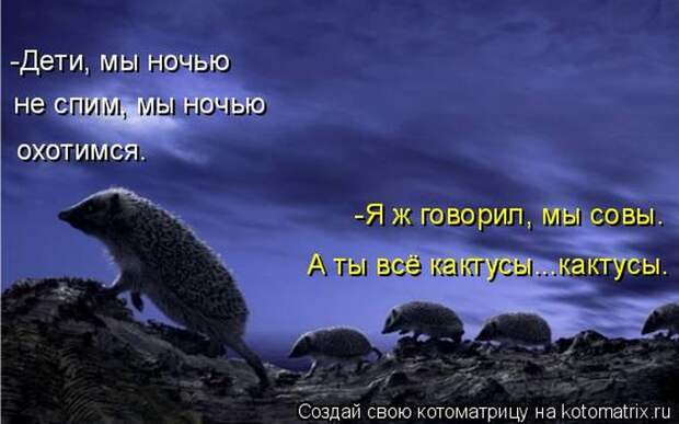 Забавные животные (50 фото)