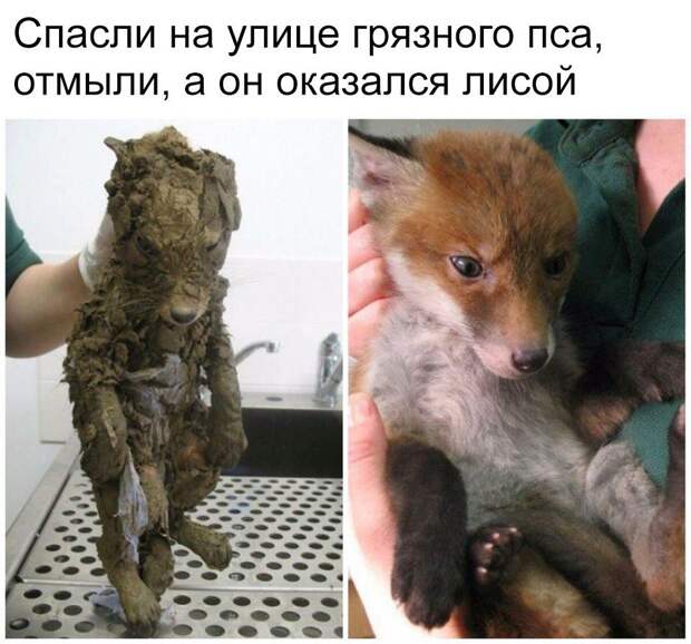 Веселые картинки и фотографии с надписью (10 фото) Веселые картинки и фотографии с надписью (10 фото)