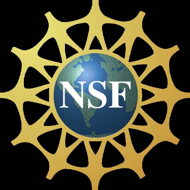 Национальный научный фонд. Национальный научный фонд США (NSF). Сеть NSFNET. Знак NSF. NSFNET логотип.