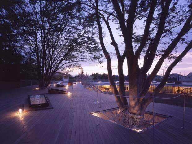 the-space-also-weaves-nature-into-its-design-classrooms-contain-real-trees-that-extend-through-the-boardwalk-above