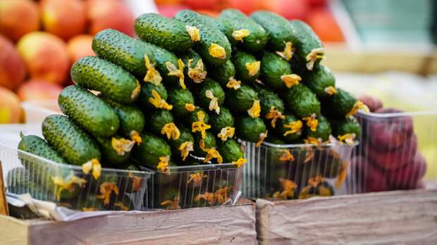«Технология продаж»: почему огурцы догнали по цене мясные деликатесы