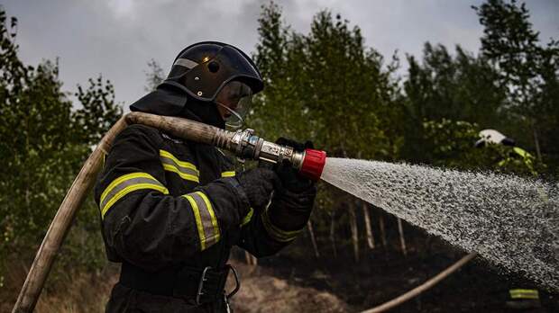 Площадь лесных пожаров в Хабаровском крае выросла в 1,5 раза за сутки