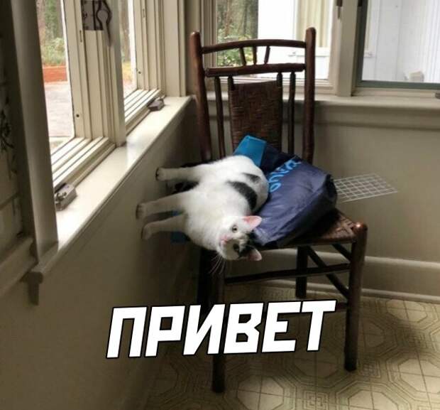 Смешные картинки вечер 11 июня