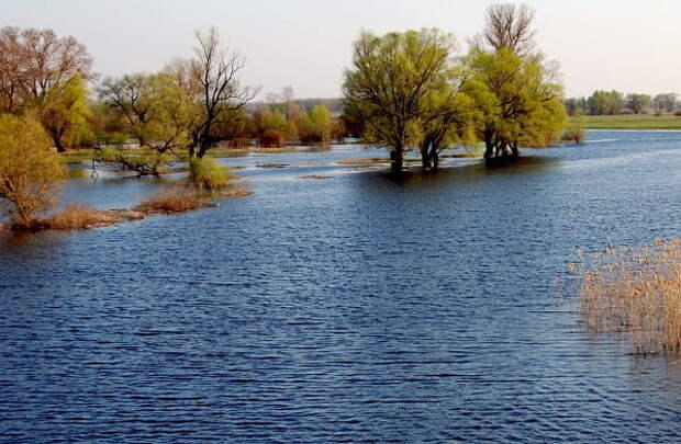Антип Водогон Приметы  картинка