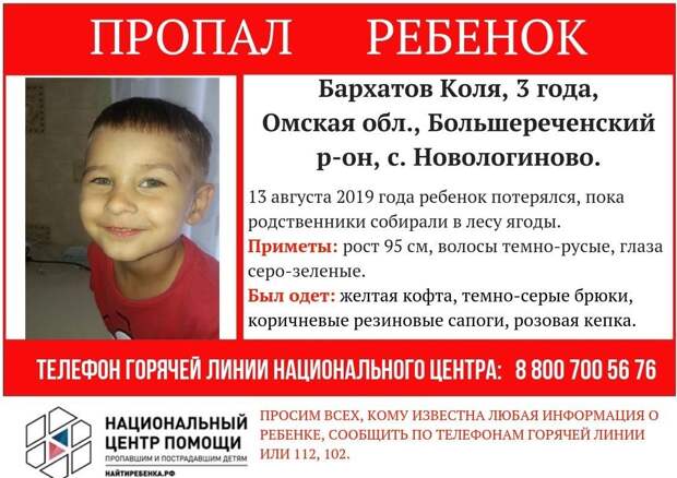 Поисками пропавшего малыша в лесу под Омском занимаются более 600 полицейских и волонтёров