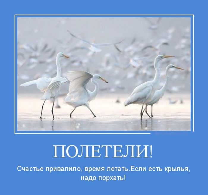 Демотиваторы