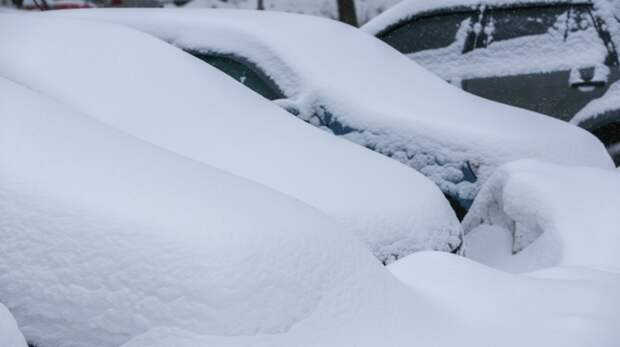 Москвичей предупредили о наступлении аномально холодных ночей