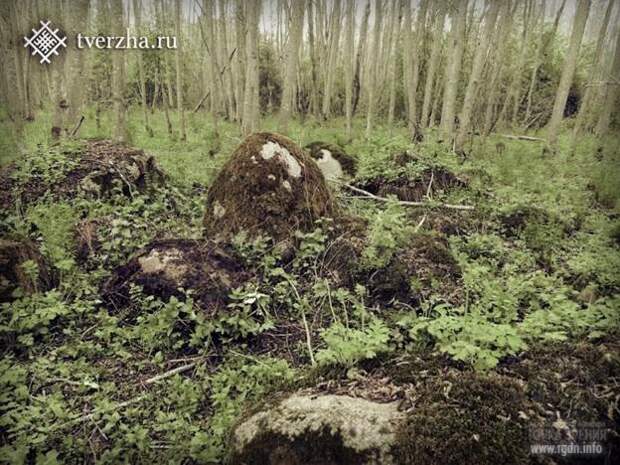 Рудаевское каменное гнездо. Тверская обл.
