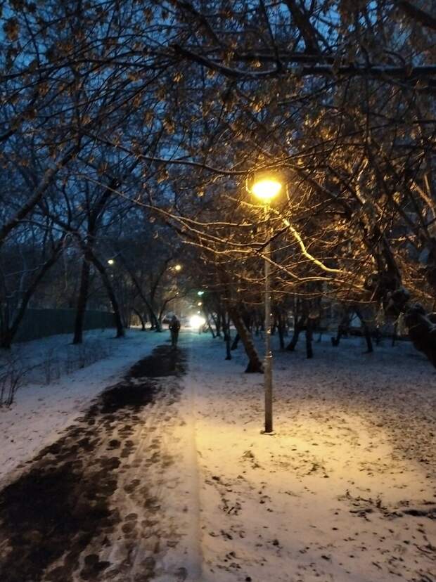 Как живут простые москвичи