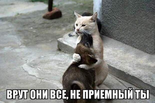 Немножко приколов Немножко приколов прикол, приколы, фото