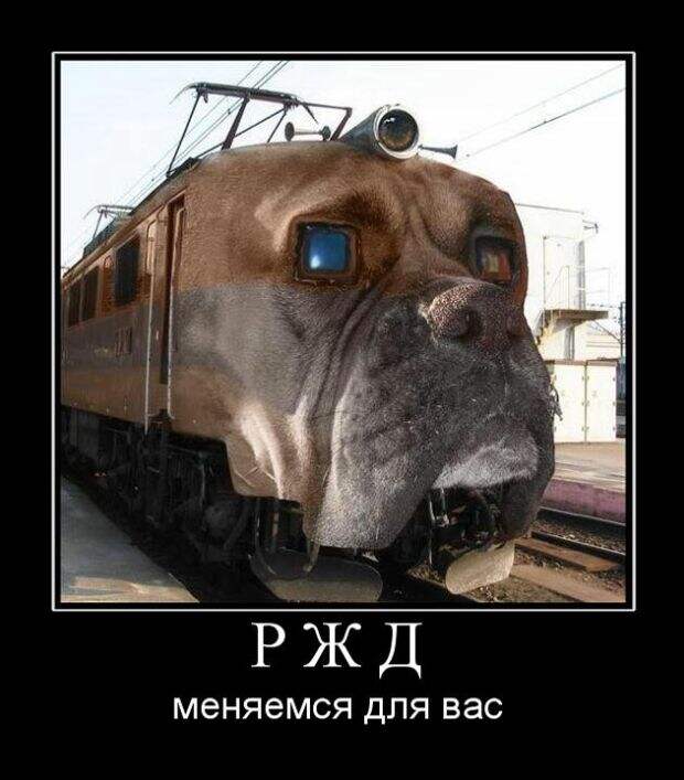 Демотиваторы (30 фото) Демотиваторы (30 фото)