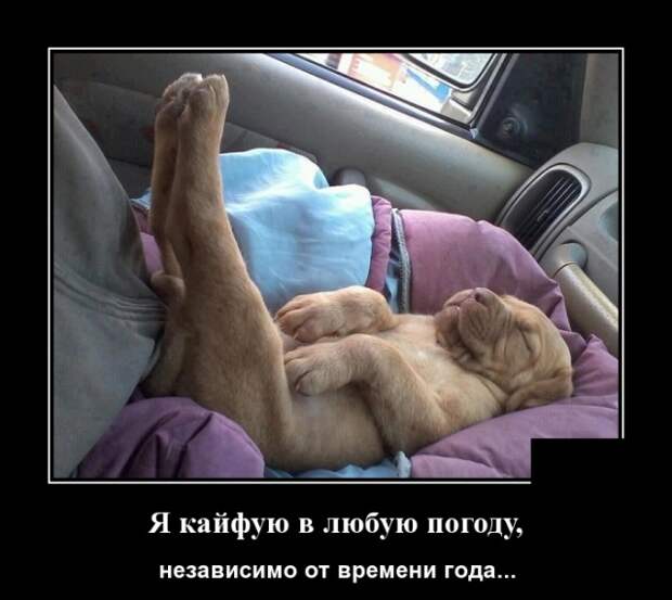 Демотиваторы (30 фото)