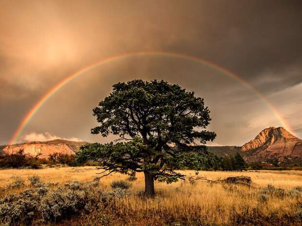 zion-rainbow_95308_990x742