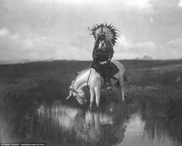 Шайенны — индейцы, воевавшие с армией США: исторические фото аборигены, индейцы, исторические кадры, история, племена, редкие фото, сша, фото