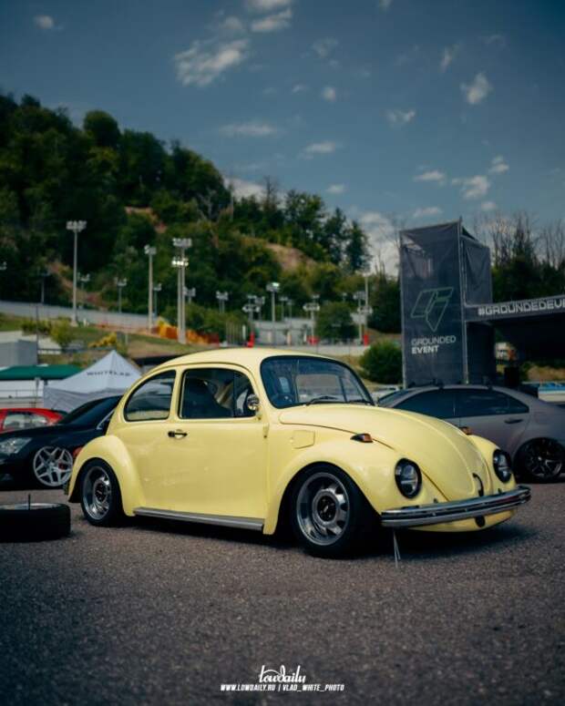 Lowdaily