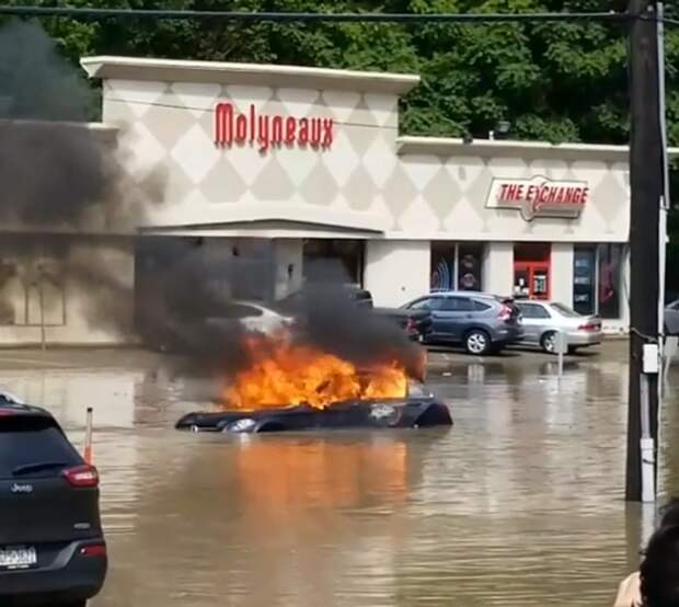 Новости из дурки под шумок новогодних праздников.