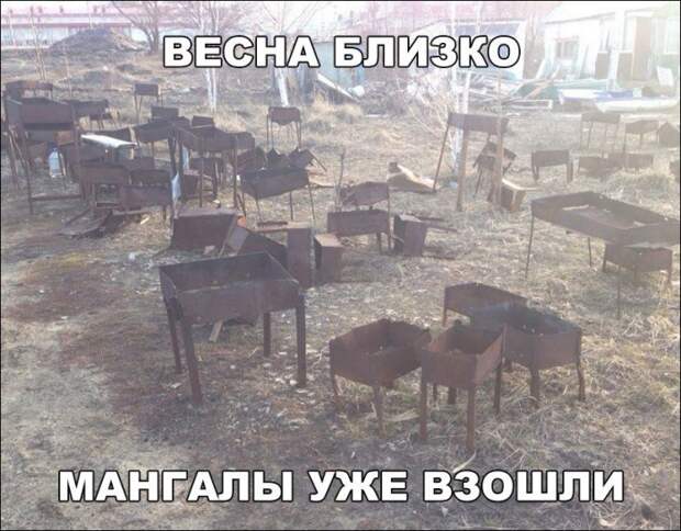 Фотоподборка