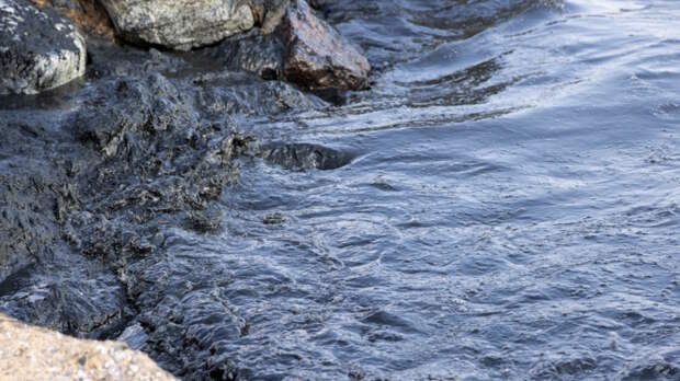 Российские ученые нашли способ быстрее справляться с последствиями нефтяных аварий в Арктике