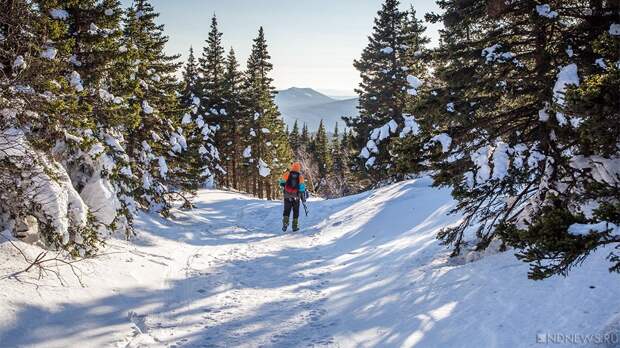 Туристы ходят на Таганай со совей мебелью и к своим лосям