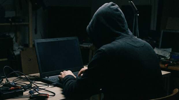 Призывавший к террору в России мигрант признался в посещении украинских сайтов