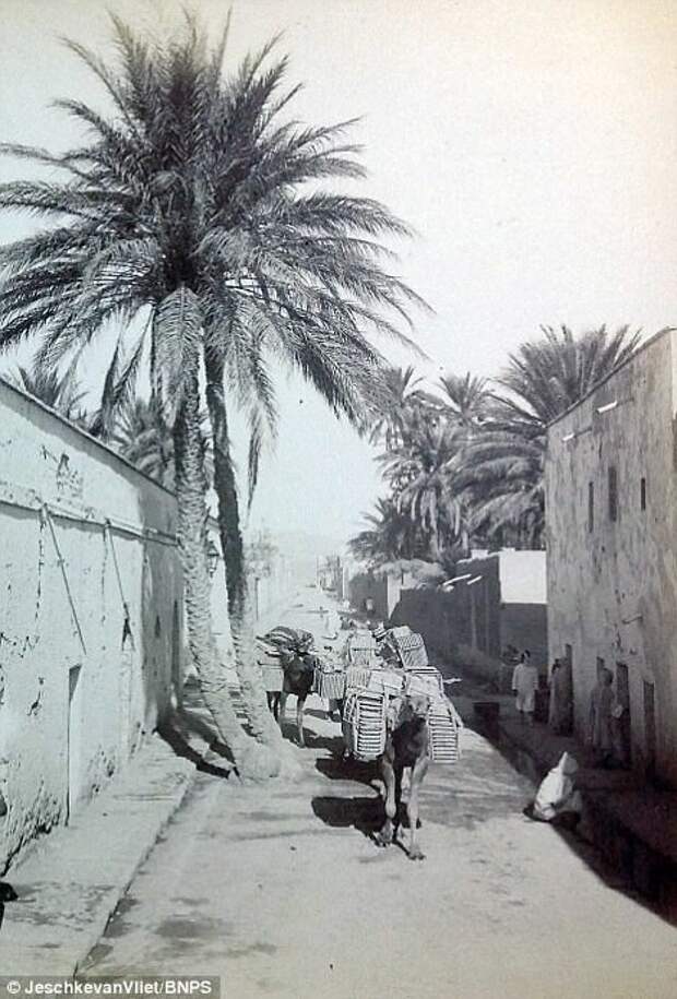 Такой была Северная Африка 125 лет назад африка, история, колонии, фото