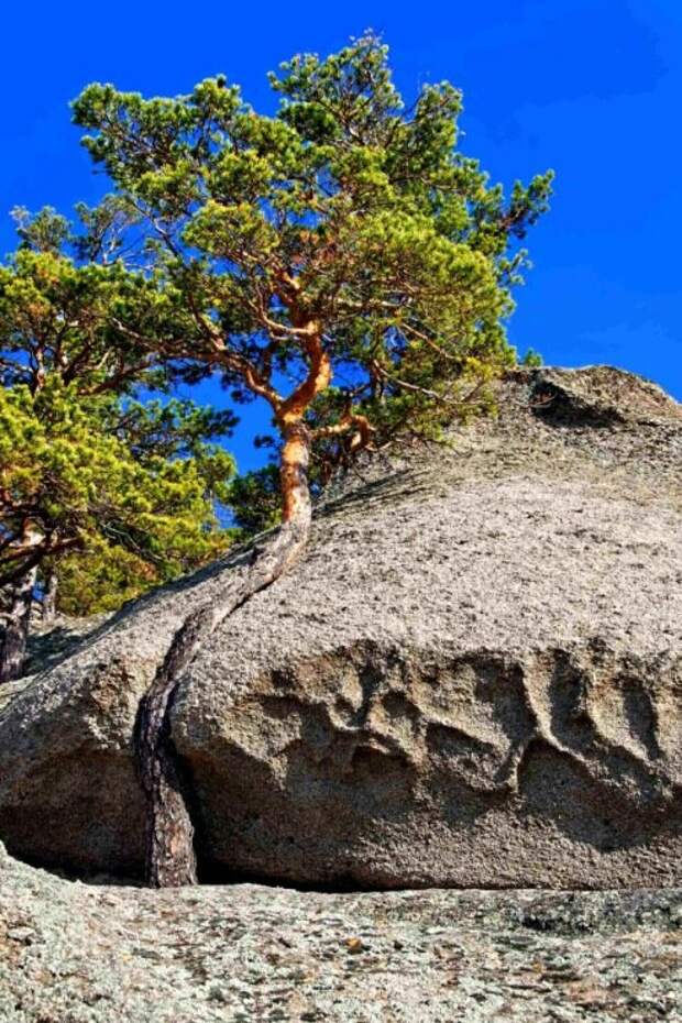 Источник: https://gallery.ru/watch?ph=GWL-cIRzh#feature=topscroll