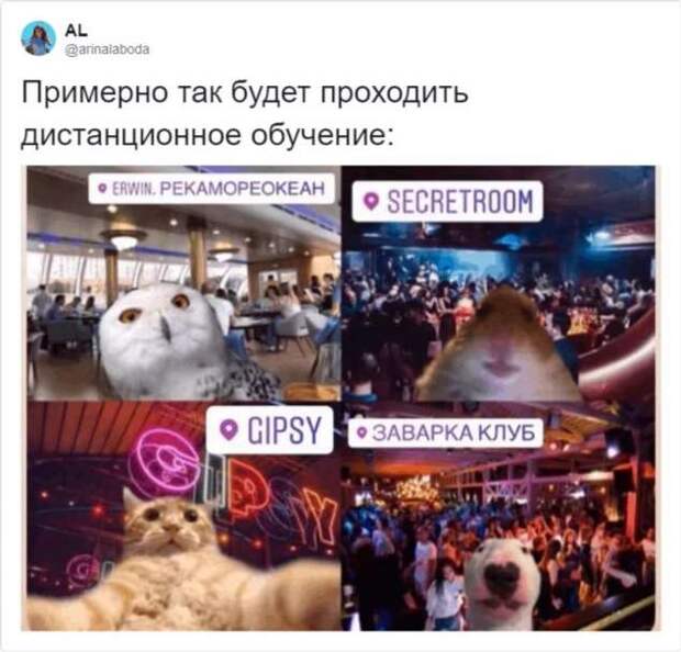 Смешные комментарии. Подборка chert-poberi-kom-chert-poberi-kom-21030703092020-13 картинка chert-poberi-kom-21030703092020-13
