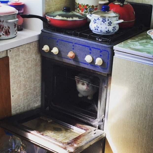 Фото, которые возможно было сделать только в России. Часть 68 (39 фото)