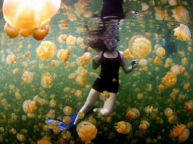 Лучшее от National Geographic (2)