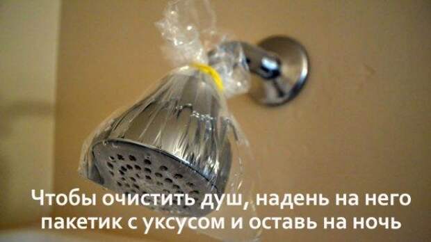 Опубликованное фото