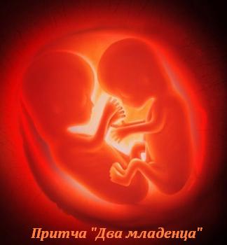 Притча о жизни