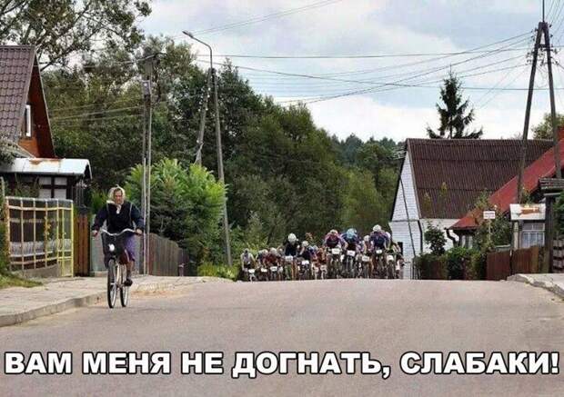 Прикольные и веселые картинки с надписями для настроения (11 фото)