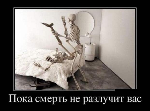 Демотиваторы (08.08.16)