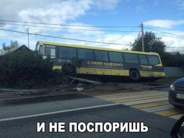 Подборка картинок. Вечерний выпуск (52 фото)
