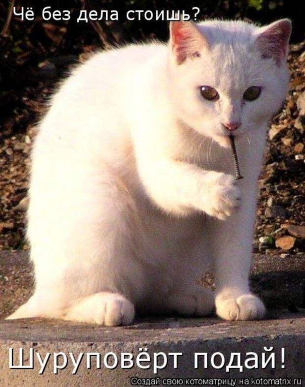 Мысли вслух :)