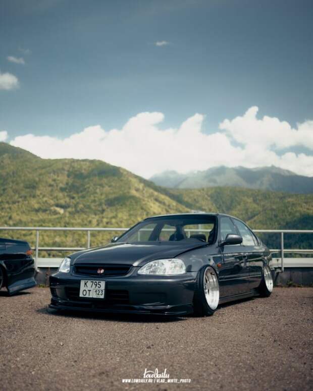 Lowdaily
