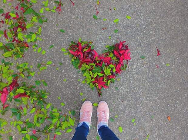 Fallen Leaf Art